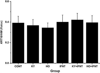 Comparison of the Ability of High and Low Virulence Strains of Non-cytopathic Bovine Viral Diarrhea Virus-1 to Modulate Expression of Interferon Tau Stimulated Genes in Bovine Endometrium